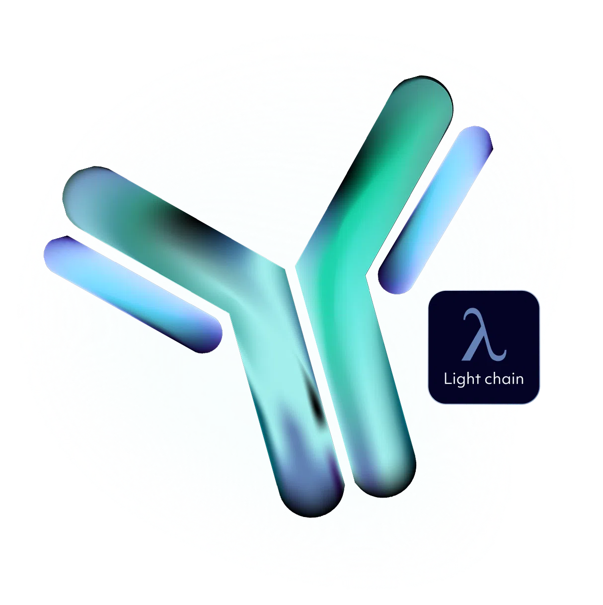 Lambda Light Chain Antibody